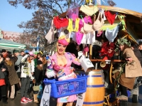 fasching-2010_2_800x533